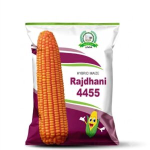 RAJDHANI 4455 HYBRID MAIZE UMA AGRO SEEDS
