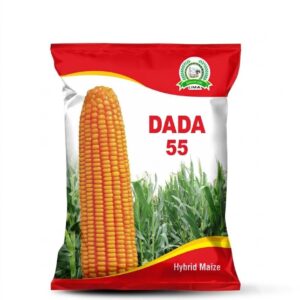 Dada 55 Hybrid Maize Seeds UMA AGRO SEEDS