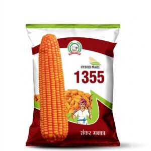 UMA 1355 HYBRID MAIZE SEEDS