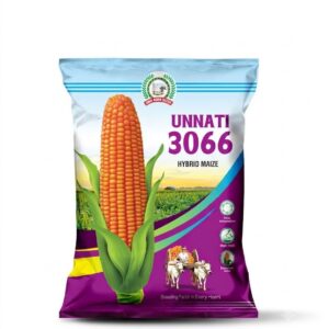 UNNATI 3066 HYBRID MIZE SEEDS UMA AGRO SEEDS
