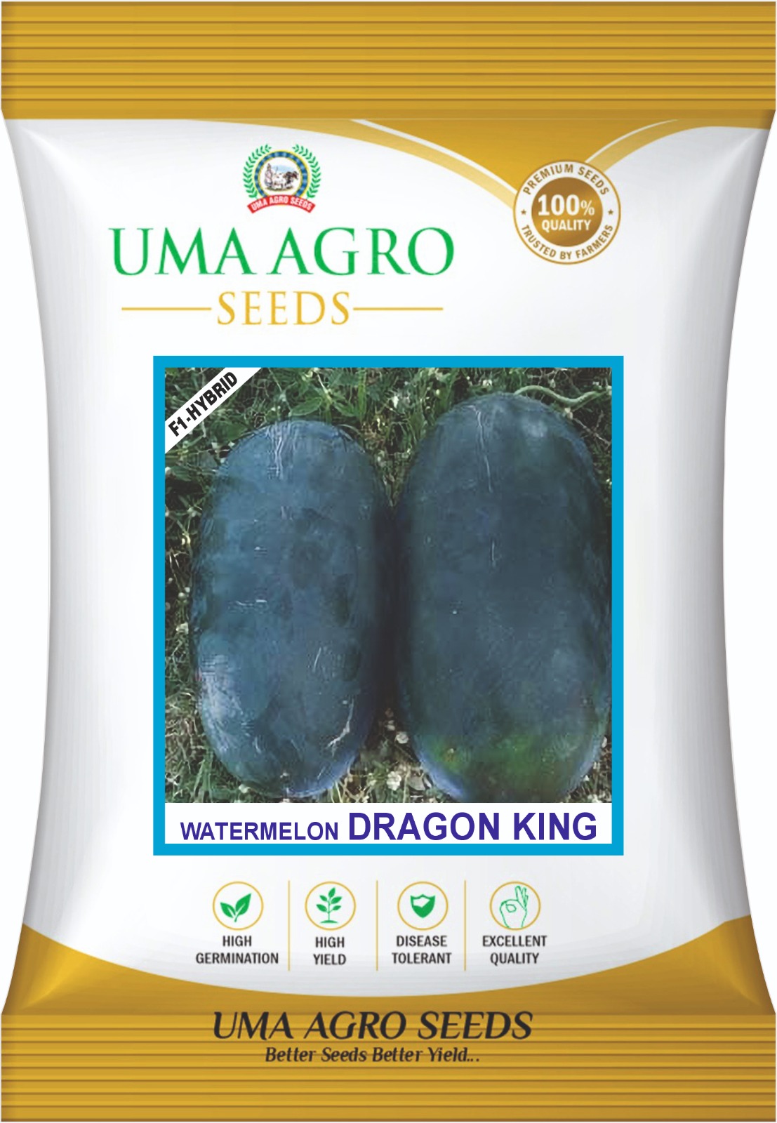 DRAGON KING