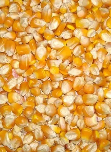 Seed Packaging